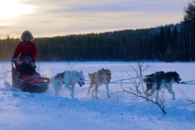 Nulkki Husky Abenteuer