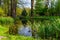 Photo of beautiful landscape view over a pond inside the Nicolae Romanescu Park in Craiova city, Romania.