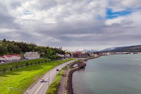 Forest Lagoon Ebike Tour Akureyri