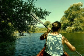Kayak Adventure: Paddle your way through Lake Skadar