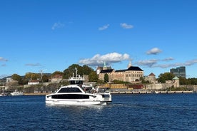 Oslo-bytur, inkludert Frammuseet eller Kon-Tiki-museet