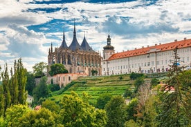 Private Castles and Brewery Day Trip From Prague To Kutna Hora