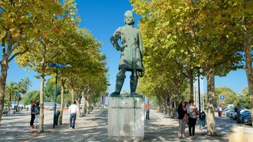 Aveiro - city in Portugal