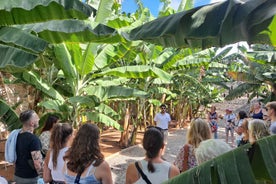 Gran Canaria: Banana World Guided Tour & Tasting