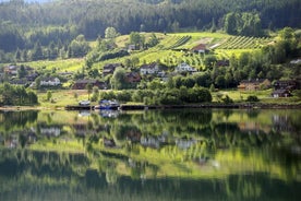 从卑尔根出发的哈当厄尔峡湾 (Hardangerfjord) 一日游