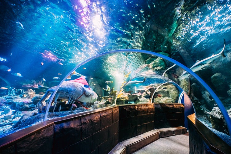 Sea Life Helsinki 2.jpg