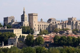 Full privat dag Avignon Chateuneuf du pape vinsmaking