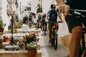 이비자 타운 및 주변 지역의 Ebike 투어(항구에서 시작)