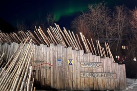 Aurora Sightseeing in Abisko from Kiruna