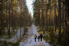 Visaginas: Wild Nature Hiking at Gražutės Regional Park