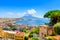 Naples, Italy. View of the Gulf of Naples from the Posillipo hill with Mount Vesuvius far in the background and some pine trees in foreground.