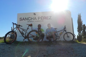 Mountain bike tour Conil de la frontera Wine bike tour