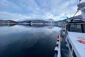 Fiordo di Tromsø e pesca