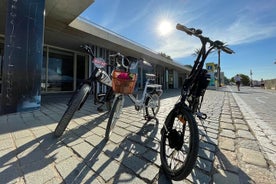 2 tíma ferð Uppgötvaðu Sevilla á EBIKE