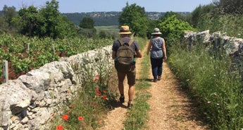 Puglia Walking Tour