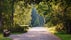 The alley in the shade of the trees - the botanic garden in Lodz