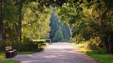Botanical garden in Łódź