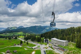 アッペンツェル山センティスへの冬のプライベート日帰り旅行 (送迎付き)