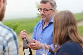 Private Champagner-Tour – Tagesausflug ab Paris mit einem Weinexperten