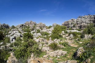 Málaga Park