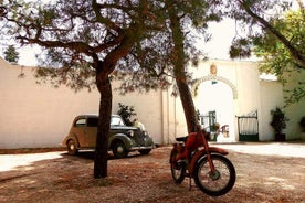 Tour privado en tuk tuk de los olivares milenarios en Ostuni