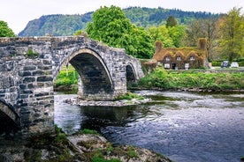 Excursión de día completo a lo mejor de Snowdonia