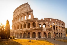 Tour privato di un giorno intero a Roma con partenza da Civitavecchia