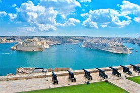 Heldags Gozo Island Small Group Tour