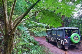 Halvdags liten gruppe Madeira Village Safari fra Funchal