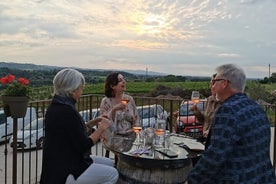 Visite de dégustation d'Acetaia la Vedetta à Castelvetro di Modena