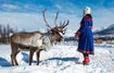 Top 10 Places To Stay in Tromsø