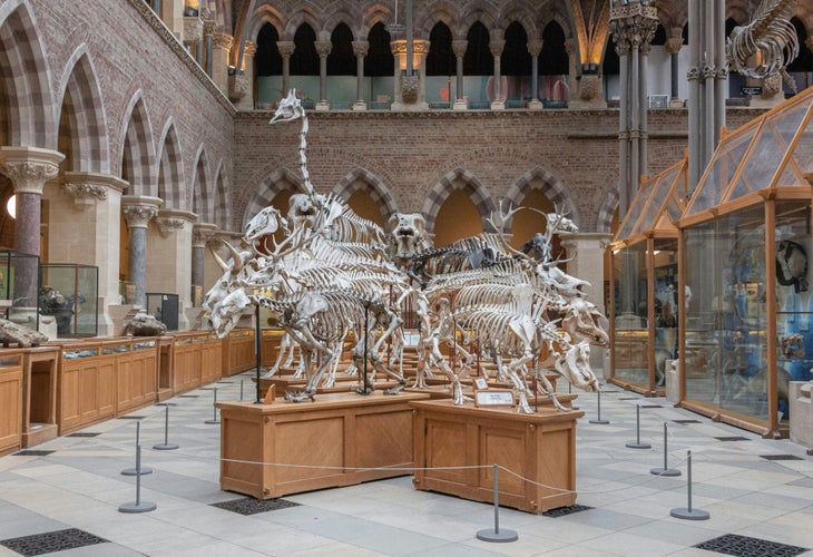 Natural History Museum.jpg