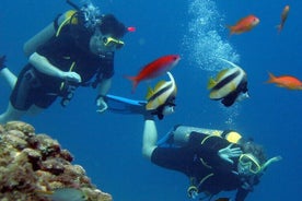 Scuba Diving Experience with a Professional Instructor