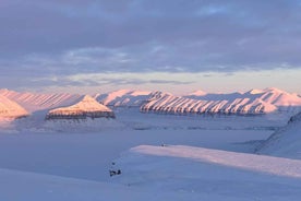 Longyearbyen: Snjósleðaferð til Tempelfjorden með hádegisverði