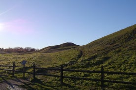 Visita guiada de 90 minutos en los antiguos montículos de Uppsala y la antigua iglesia de Uppsala