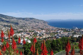 Lo mejor de Funchal y el sudeste de Madeira en un tour privado de 5 horas