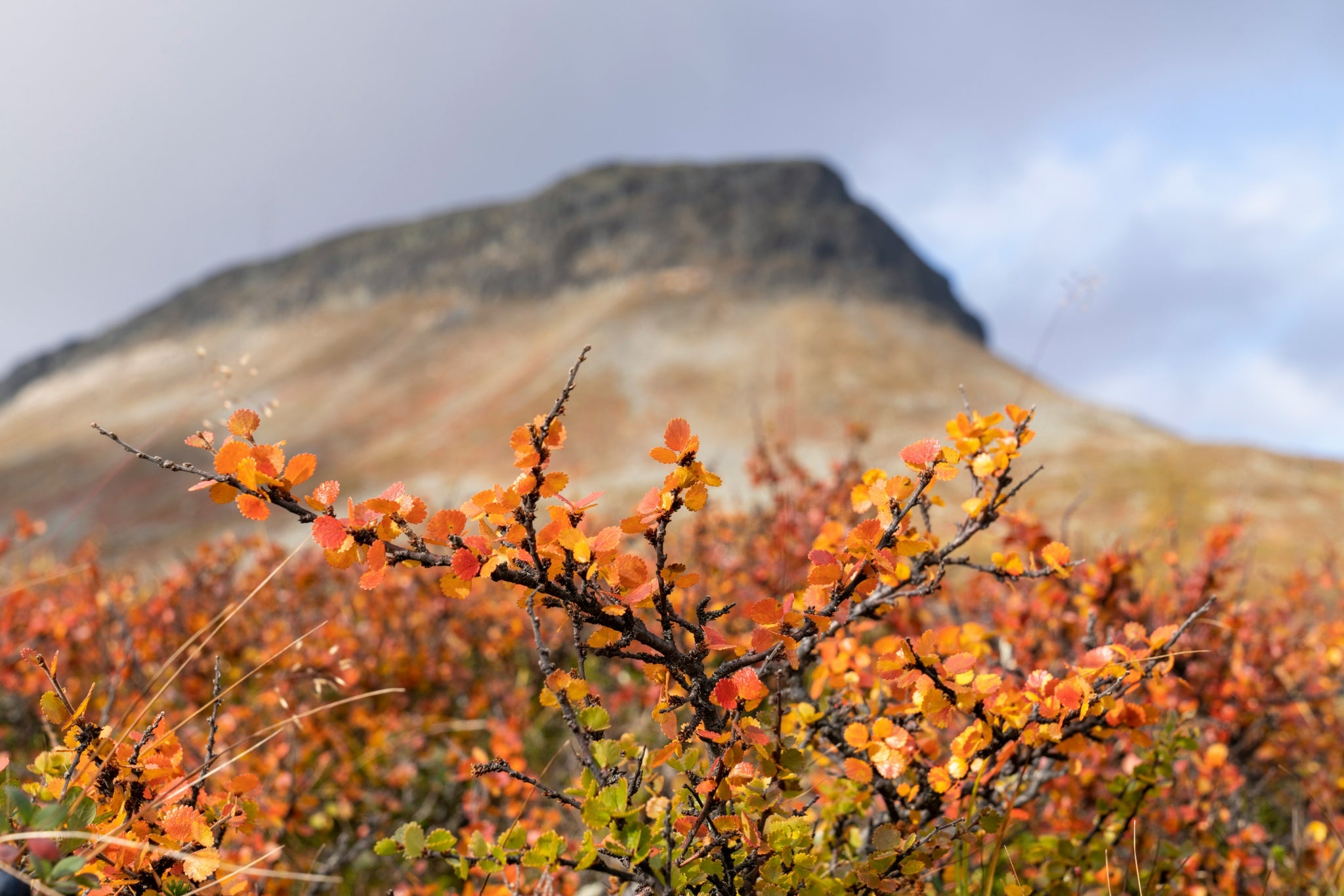 Fall-Weather-in-Finland.jpg