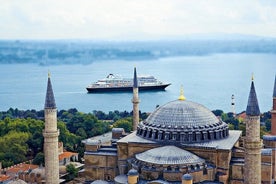 1-tägige Istanbul-Highlights-Tour, 8-10 Personen, alle Eintrittsgebühren und Mittagessen inklusive