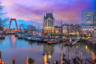 Best Time To Visit Rotterdam: A Seasonal Guide to This Port City