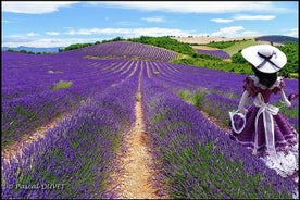 Nizza: tour delle Gole del Verdon e dei campi di lavanda