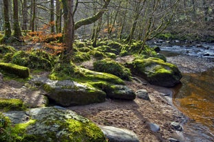 Roe Valley Country Park