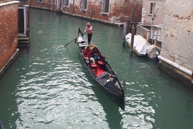 Venecia Tour privado de 1 día desde Milán en tren de alta velocidad