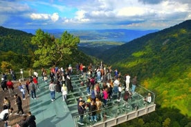 Tour de día completo en Sapanca desde Estambul