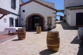 Bike and food route in the winery's restaurant