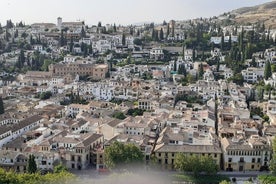 Tour Guidato alla Storia del Patrimonio e Cultura di Granada