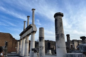 Tour privado de medio día a las ruinas de Pompeya