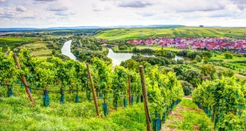 Blue Danube (Nuremberg - Budapest) (8 destinations)