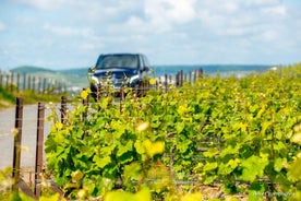 Regio Reims of Epernay: privétour minibus en chauffeur van een halve dag ter beschikking