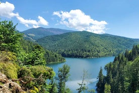 From Oradea: Mountain Bike around Lake Dragan