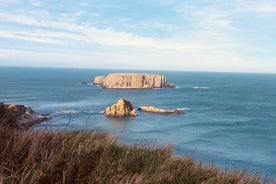 Calçada Privada dos Gigantes e Excursão pela Costa de Antrim